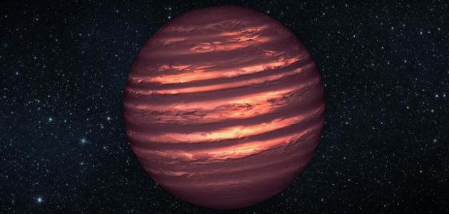 القزم البنى