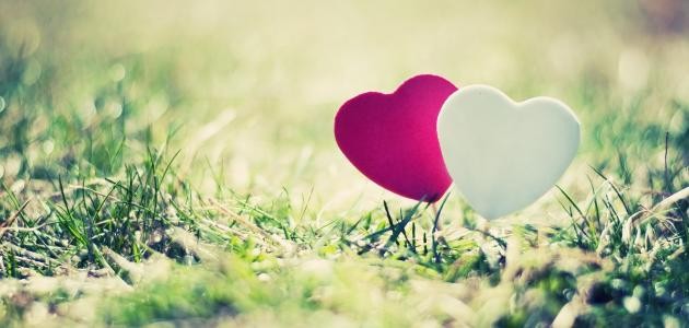 كيف ألفت انتباه حبيبي