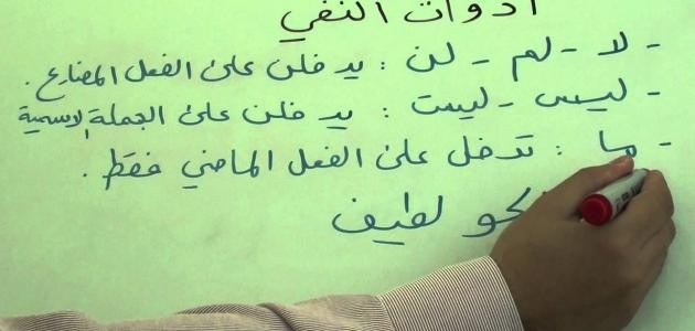 ما هي ادوات النفي