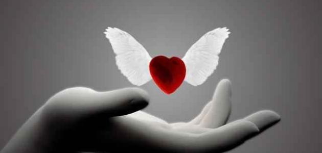 شعر مغربي عن الحب