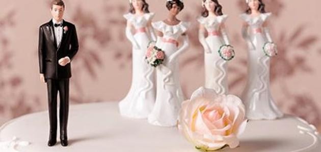 لماذا حلل الشرع الزواج بأربع زوجات لماذا حلل الشرع الزواج بأربع زوجات