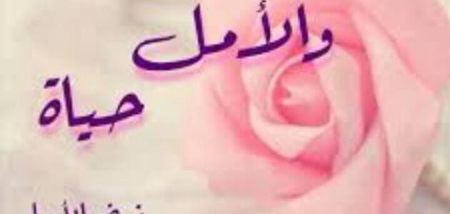 خواطر عن الحياة والأمل