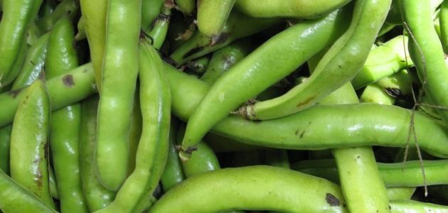 كيف أطبخ الفول الأخضر