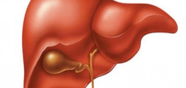 ما هو صفار الكبد