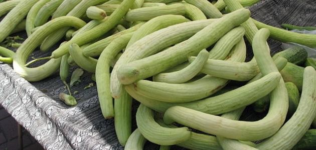 ما معنى القثاء