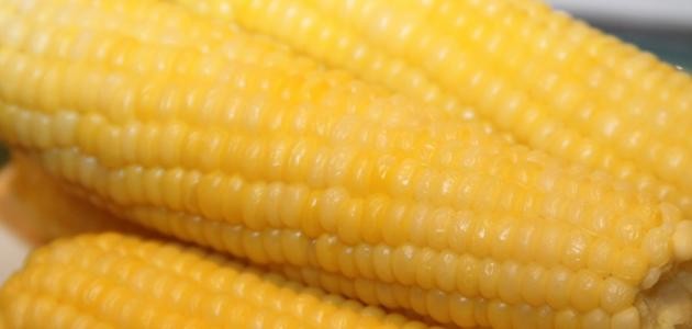 كيف اسلق الذره كيف اسلق الذره