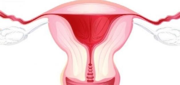 ما أسباب التهابات المهبل