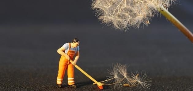 بحث عن النظافة