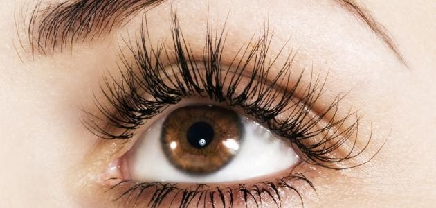 كيفية تطويل الرموش طبيعيا