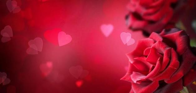 اشعار حب جميلة