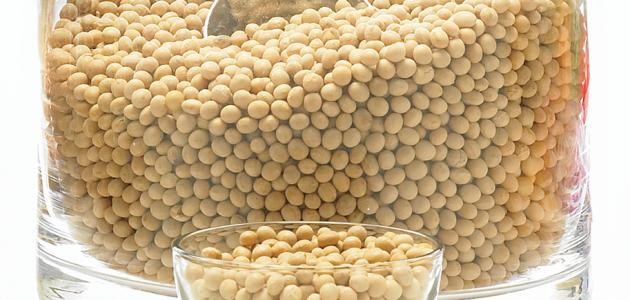 كيفية تناول فول الصويا