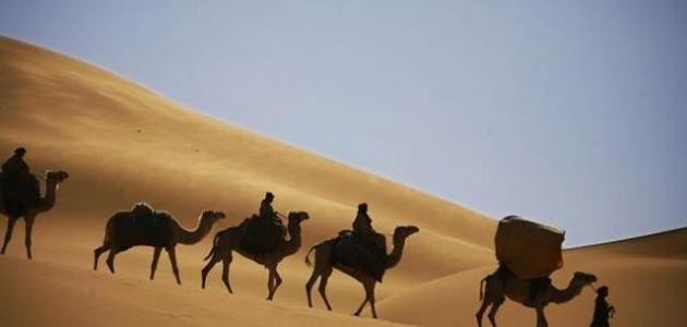 تعريف أدب الرحلة تعريف أدب الرحلة