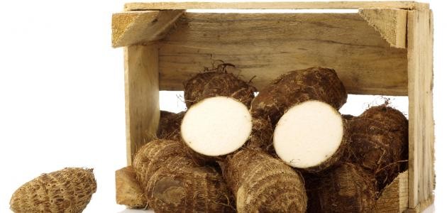 طريقة تخزين القلقاس