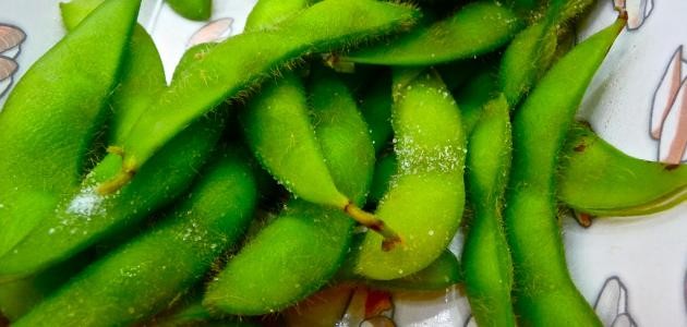 كيفية تفريز الفول الاخضر