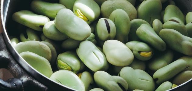 كيف أفرز الفول الأخضر