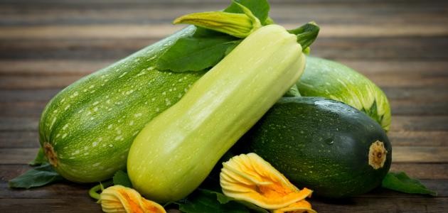 فوائد الكوسا للرجيم فوائد الكوسا للرجيم