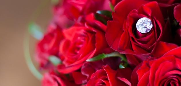 اشعار لعيد الحب