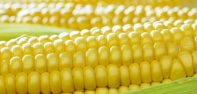 كيف تسلق الذرة