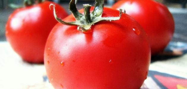 كيف أخزن الطماطم
