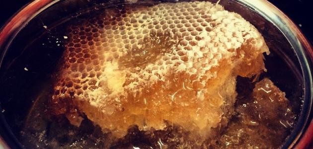 ما هو عسل السدر