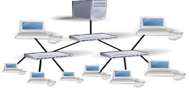 ما هي أنواع الشبكات