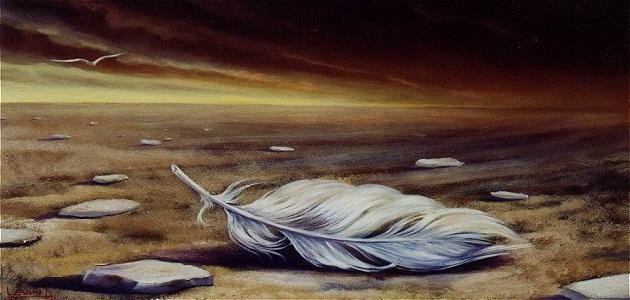 كلمات لها صدى