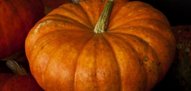 طريقة طبخ قرع العسل