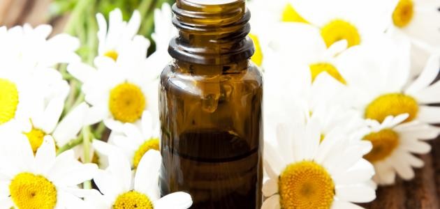 فوائد زيت البابونج فوائد زيت البابونج