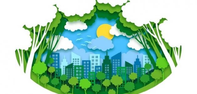 ما هي البيئة