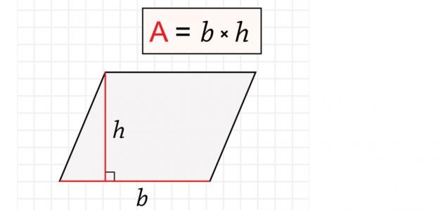 ما محيط متوازي الأضلاع
