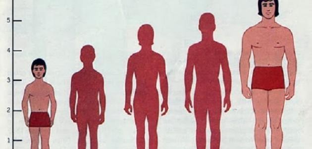 ما أسباب قصر القامة