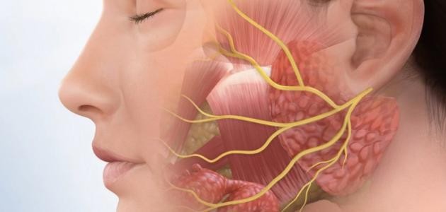 ما علاج العصب السابع