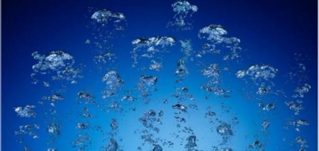 كيف تتنفس الكائنات الحية