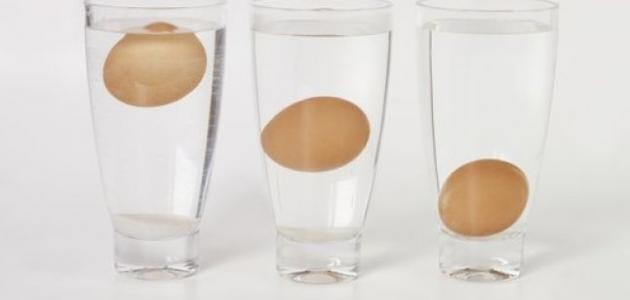 كيفية معرفة البيض الفاسد