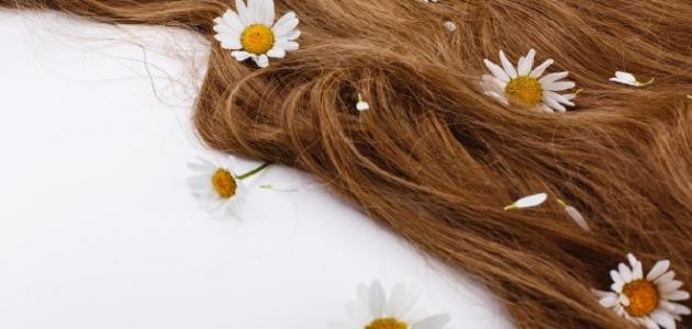 تفسير الشعر الطويل في المنام