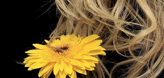 كيفية جعل رائحة الشعر جميلة