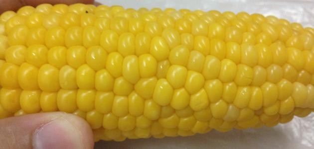 طريقة عمل الذرة المسلوقة