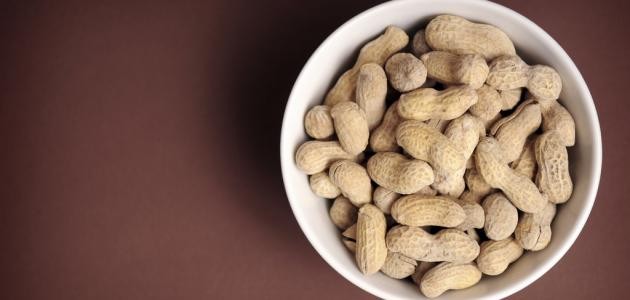 ما هو الفول السوداني