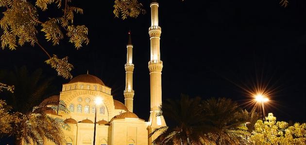 ما هو نظام الحكم في سلطنة عمان