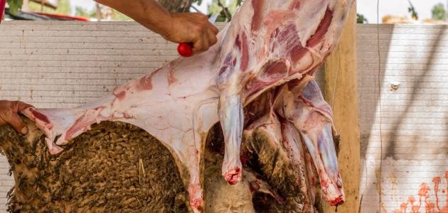 كيفية سلخ الخروف كيفية سلخ الخروف