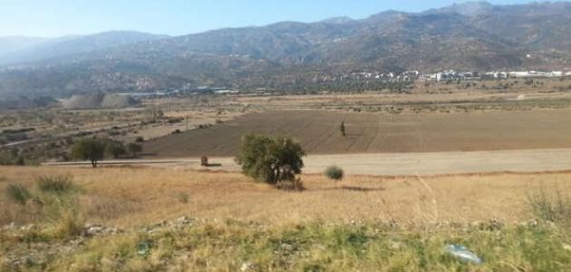 ما هو الهكتار