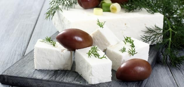 كيف أحفظ الجبنة البيضاء