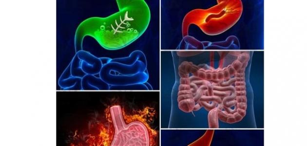 كيف يتم الهضم الكيميائي