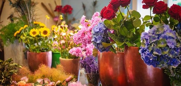 أنواع الأزهار وأسماؤها