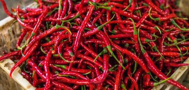 طريقة تجفيف الخضار