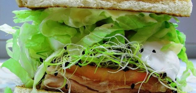 كيفية عمل وجبات سريعة