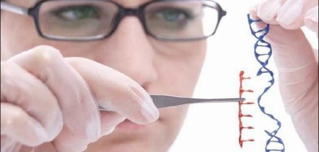 كيفية انتقال الأمراض الوراثية