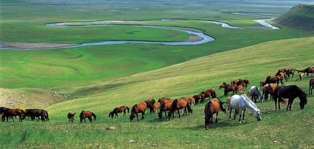 أين تقع منغوليا