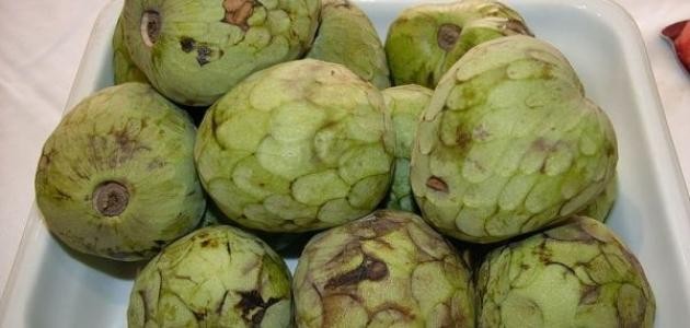 ما هي ثمرة الكمأة ما هي ثمرة الكمأة