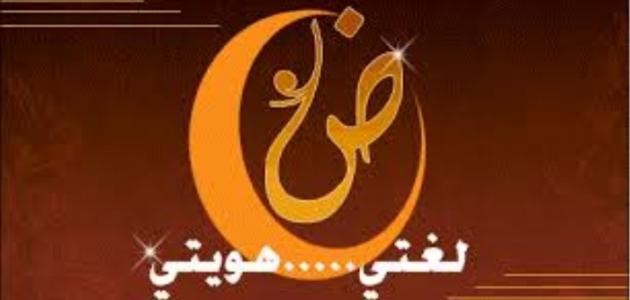 أهمية اللغة العربية الفصحى